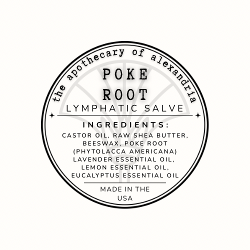 Poke Root • Lymphatic Salve