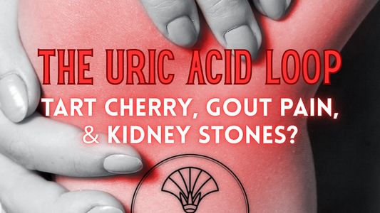 The Uric Acid Loop