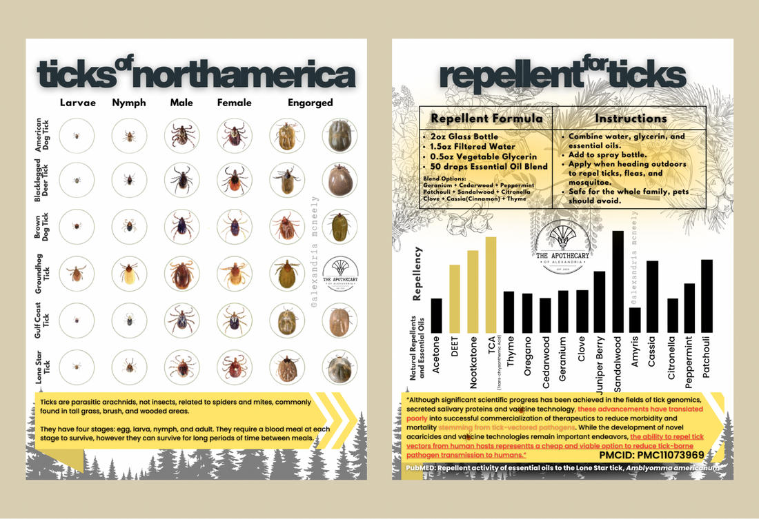 Tick Prevention and Awareness 2026