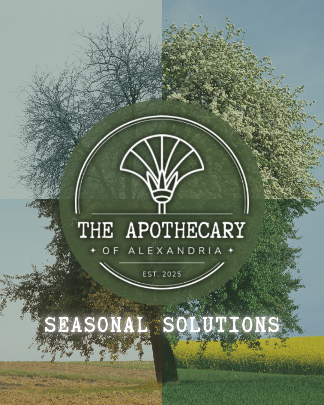Seasonal Solutions