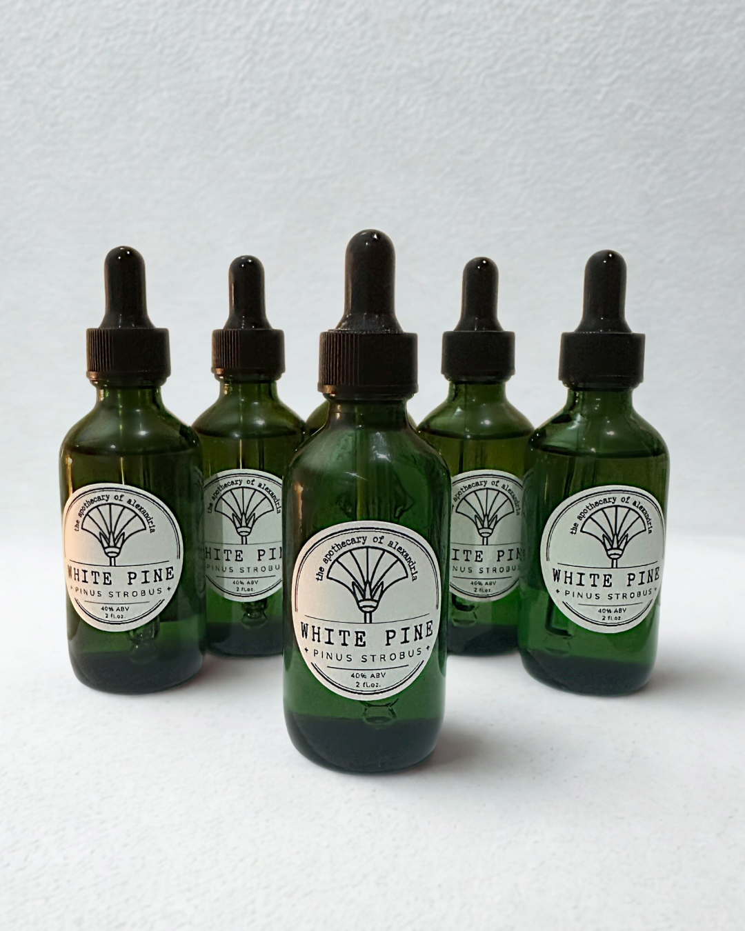 White Pine • Tincture