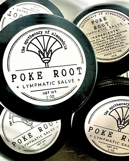 Poke Root • Lymphatic Salve