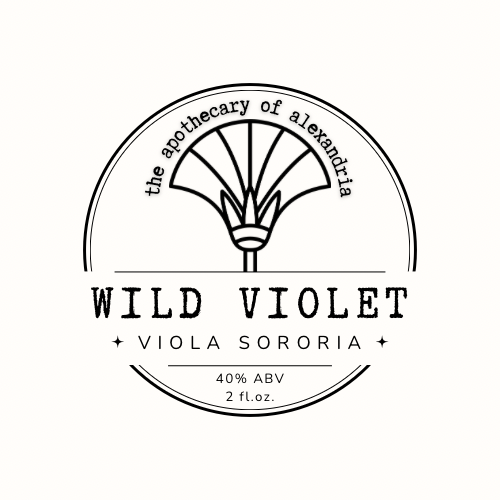 Wild Violet • Tincture