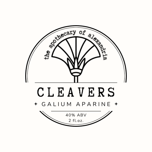 Cleavers • Tincture