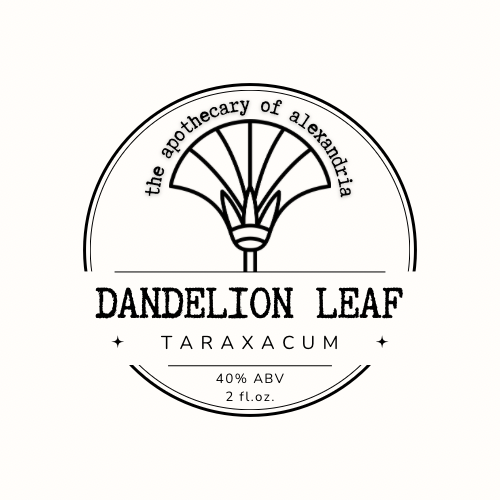 Dandelion Leaf • The Apothecary of Alexandria LLC