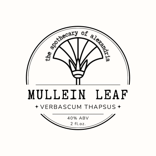 Mullein Leaf • The Apothecary of Alexandria LLC
