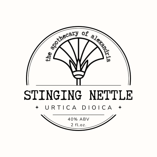 Stinging Nettle • The Apothecary of Alexandria LLC
